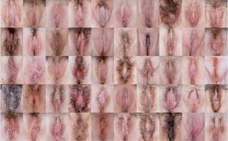 Покрытая волосами вульва