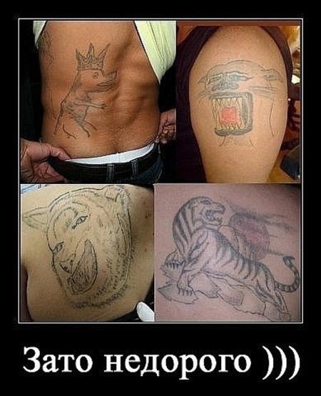 Тату демотиватор