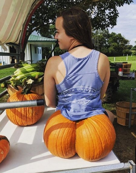 Смешная тыква