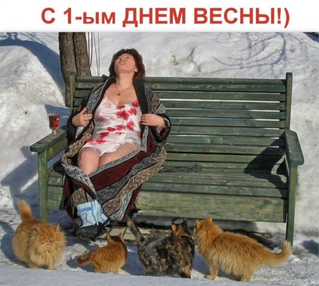 Весенние шутки и приколы