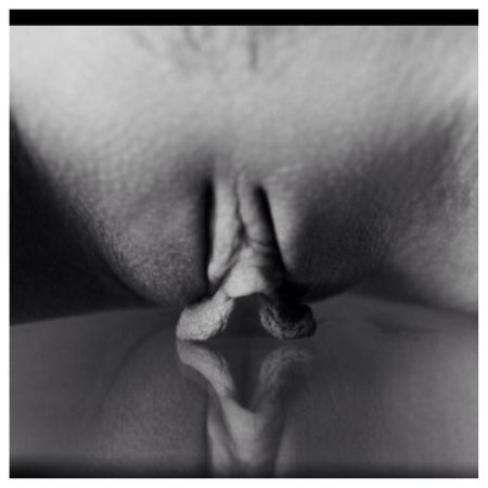 Самые красивые женские киски