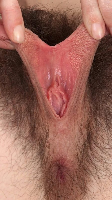 Волосатая киска бабочка