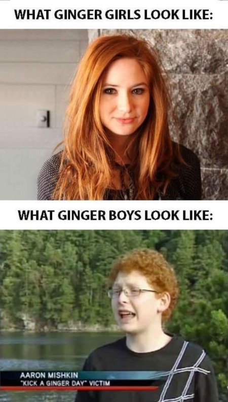 Мемы про рыжих