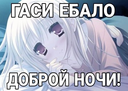 Мемы с няшками