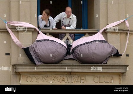 Огромный лифчик