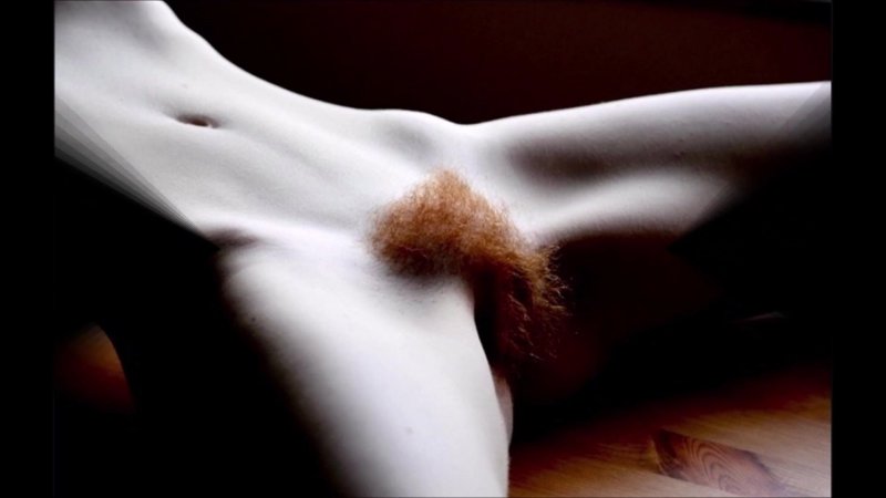 Венерин бугорок mons veneris