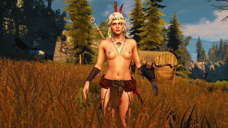 Ведьмак дикая охота nude mode