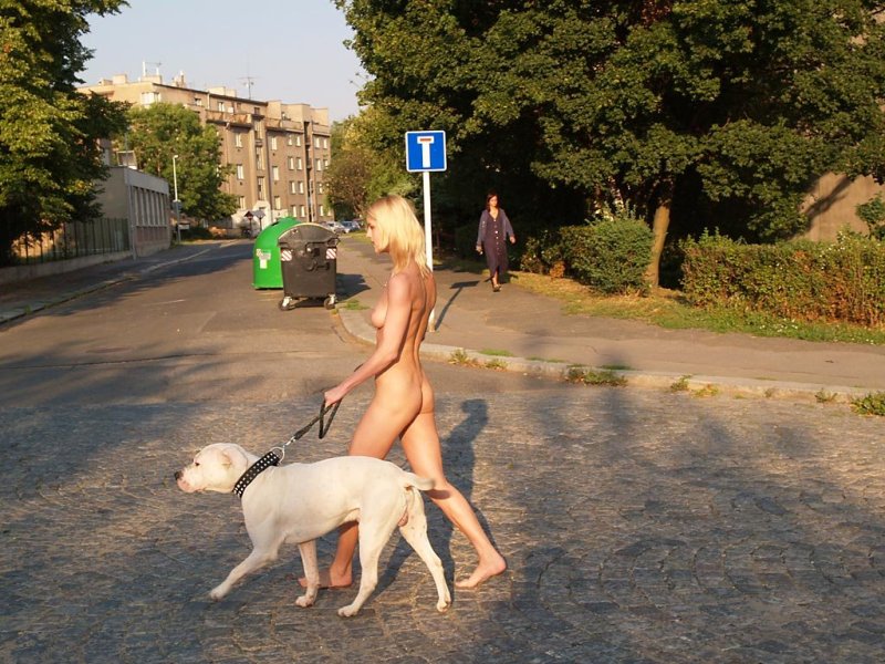 Голые женщины на поводке улице
