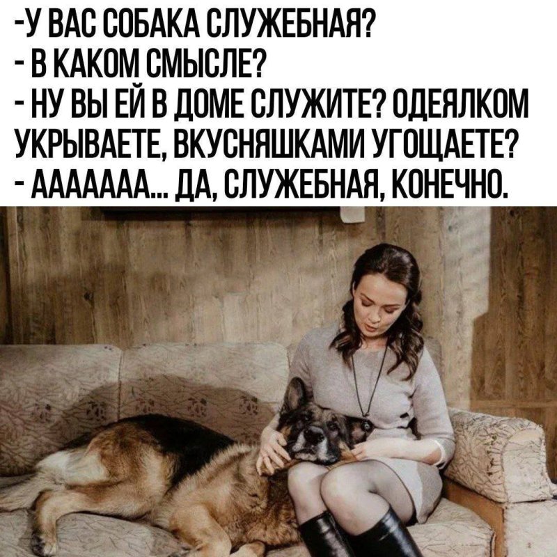 Немецкая овчарка