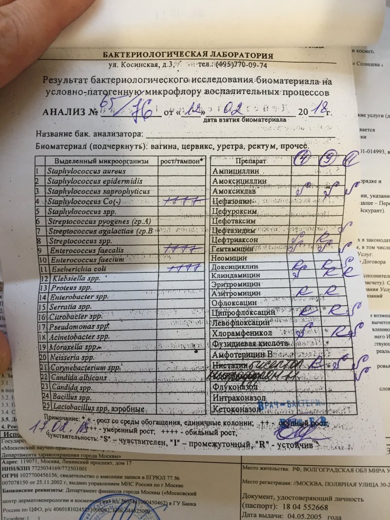 Сдавать анализы