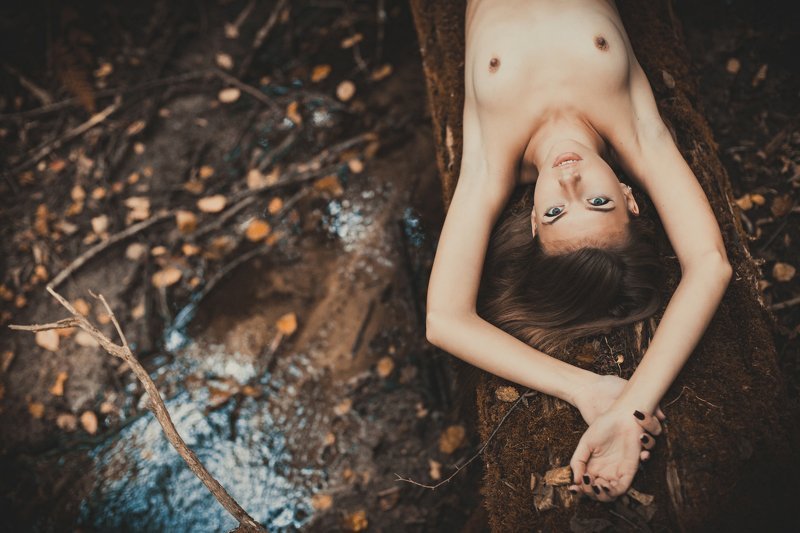 Фотосессии в лесу