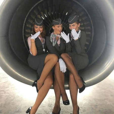 Голые стюардессы в самолете