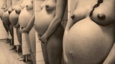 Эротика беременная