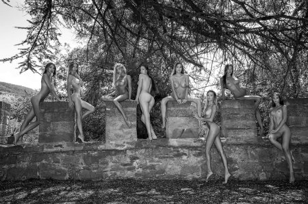 Групповая фотосессия в стиле ню